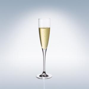 Champagne flute